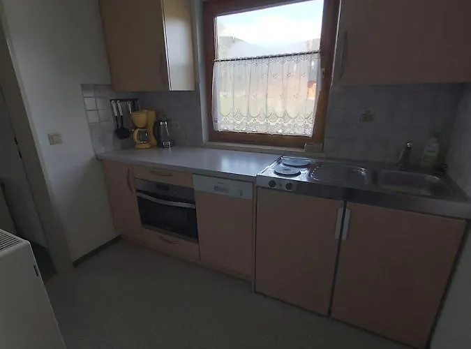 Fallenegger アパート フラッハウ