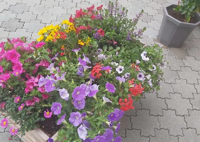 Appartement Fallenegger Flachau